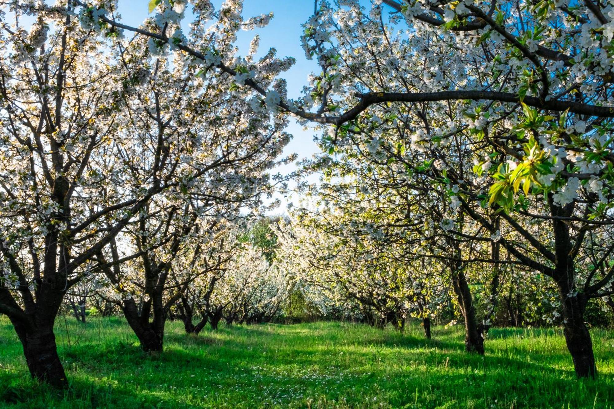 Monferrato Inn Rivarone Dış mekan fotoğraf