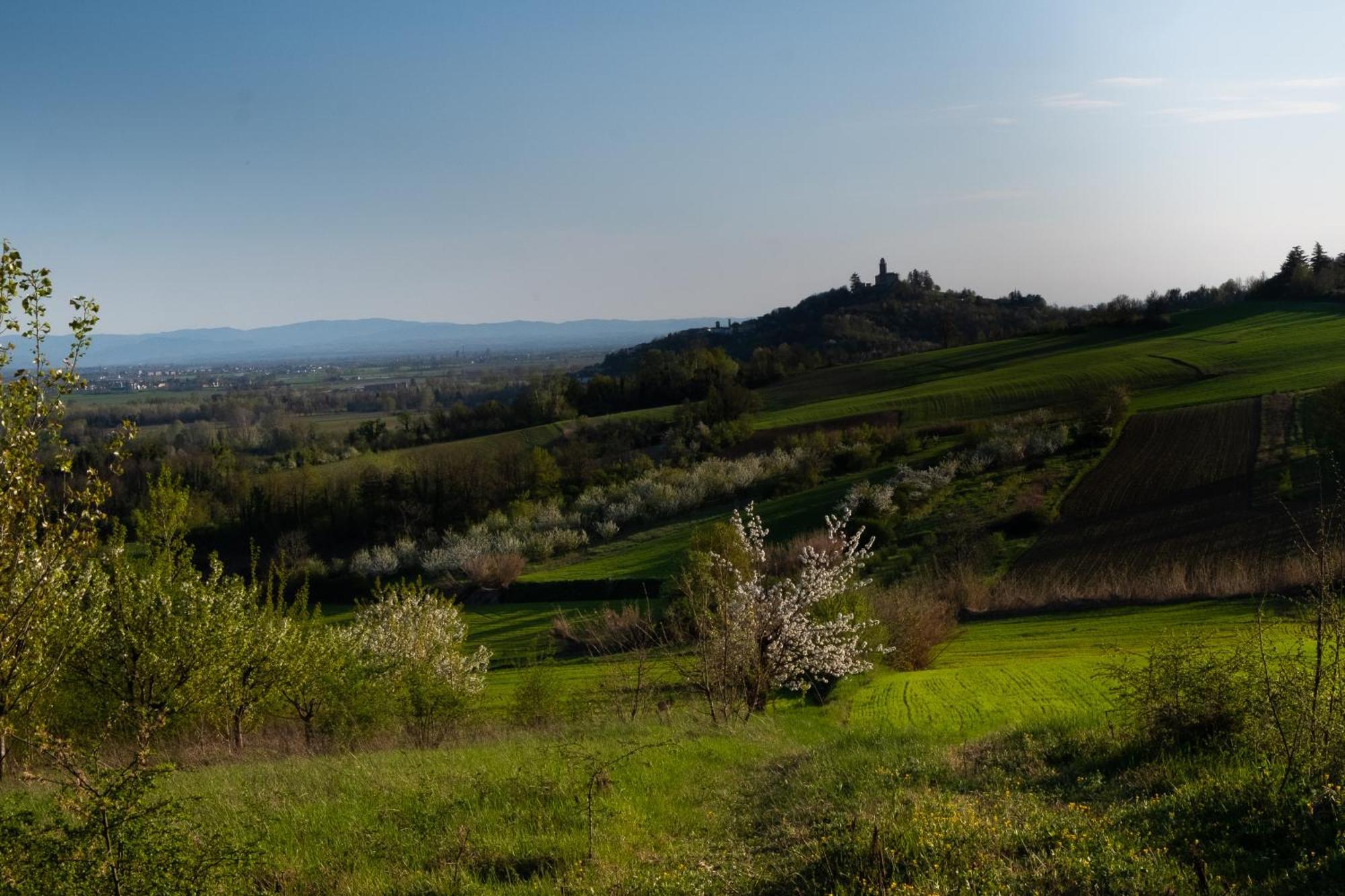 Monferrato Inn Rivarone Dış mekan fotoğraf